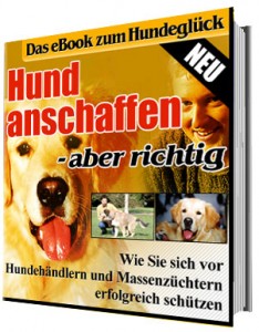 Hund anschaffen